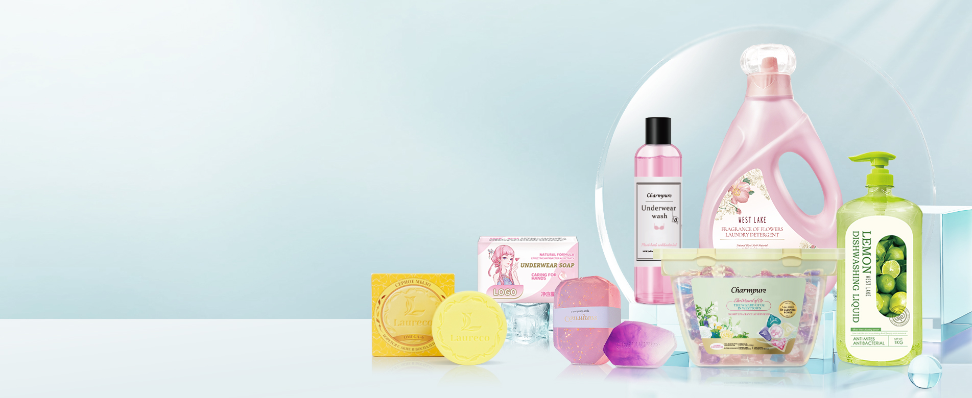 Manufacturer of Professional Washing and Care Products