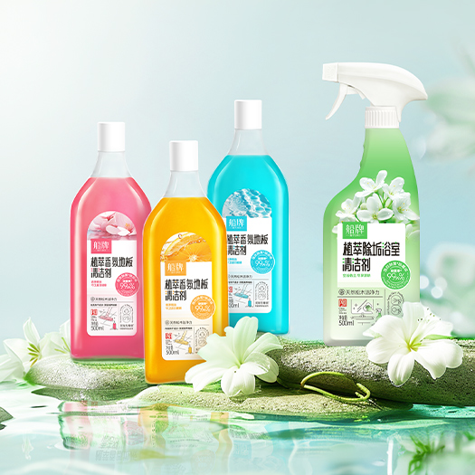 Household Cleaning